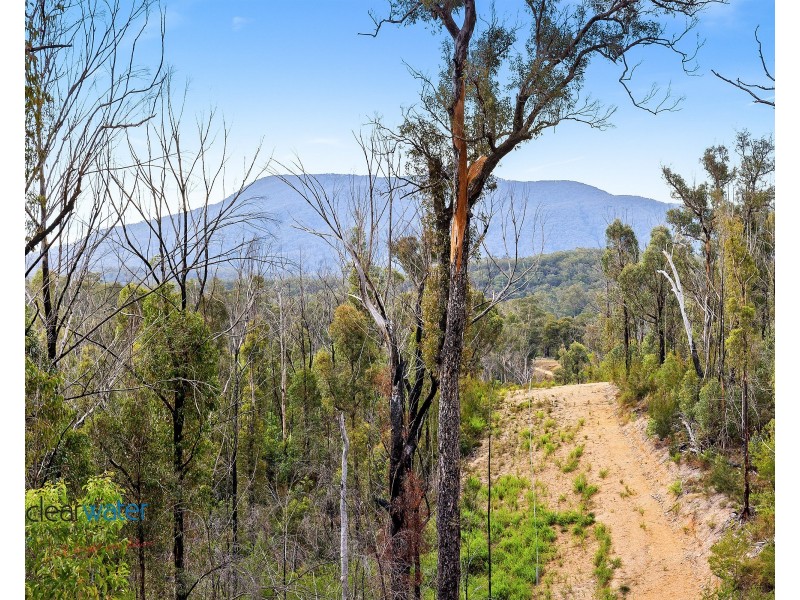 82 DP 819379/438 Cobargo Bermagui Rd, Coolagolite NSW 2550