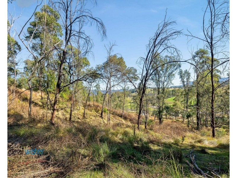 Lot 20, Lot 21, Lot  And Lot 25 Cowdery Street, Cobargo NSW 2550