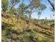Lot 20, Lot 21, Lot  And Lot 25 Cowdery Street, Cobargo NSW 2550