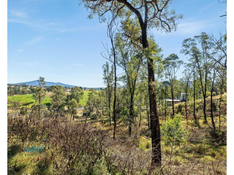 Lot 20, Lot 21, Lot  And Lot 25 Cowdery Street, Cobargo NSW 2550
