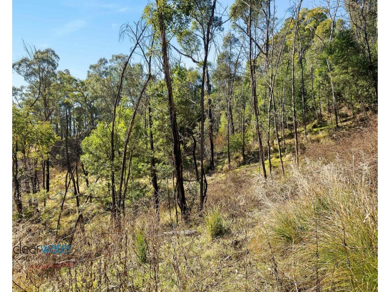 Lot 20, Lot 21, Lot  And Lot 25 Cowdery Street, Cobargo NSW 2550