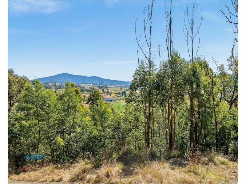 Lot 20, Lot 21, Lot  And Lot 25 Cowdery Street, Cobargo NSW 2550