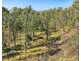 Lot 20, Lot 21, Lot  And Lot 25 Cowdery Street, Cobargo NSW 2550