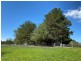 79 Myack Street, Berridale NSW 2628