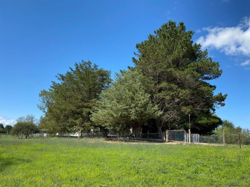 79 Myack Street, Berridale NSW 2628