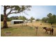 1742 Slacks Creek Road, Cooma NSW 2630