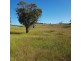 1742 Slacks Creek Road, Cooma NSW 2630