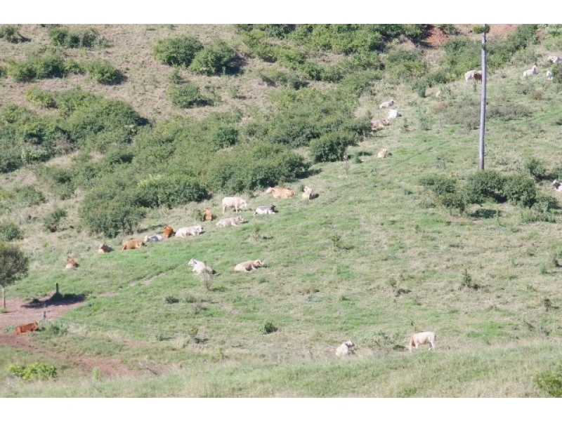 1118 Stanley Pocket Rd, Crossdale QLD 4312