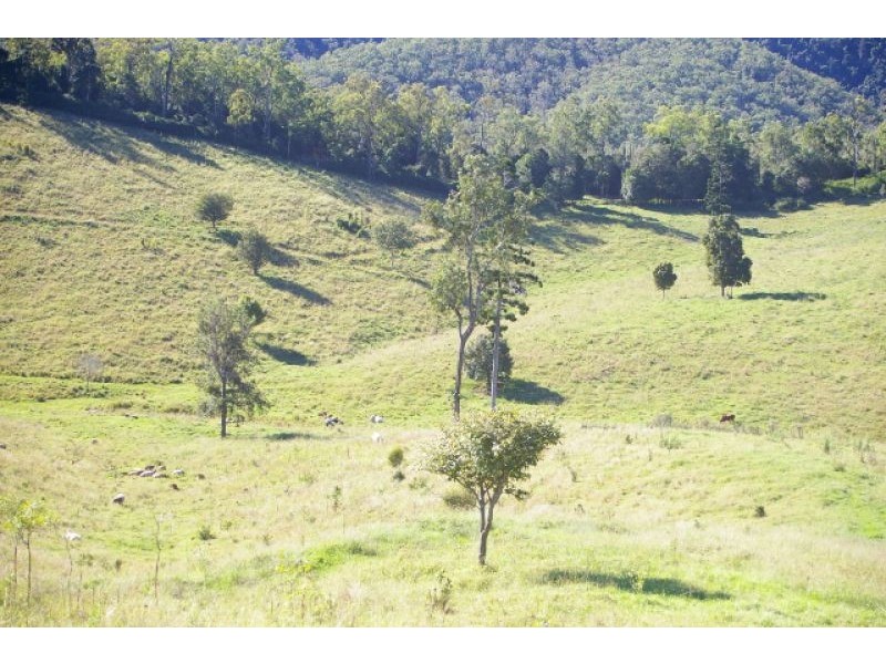 1118 Stanley Pocket Rd, Crossdale QLD 4312