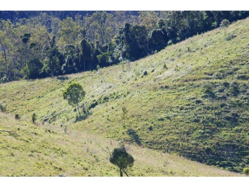 1118 Stanley Pocket Rd, Crossdale QLD 4312