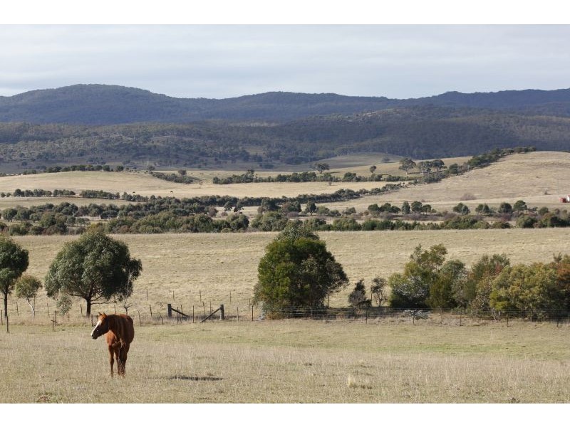 438 Plains Road, Hoskinstown NSW 2621