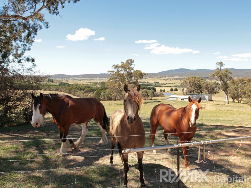 175 Pollack Road, Hoskinstown NSW 2621