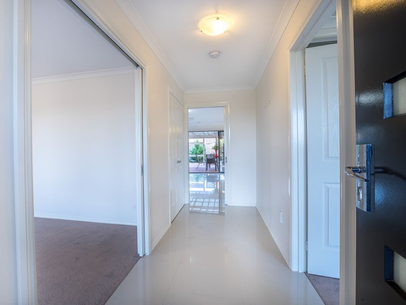 41 Oodgeroo Avenue, Franklin ACT 2913