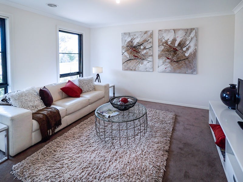 41 Oodgeroo Avenue, Franklin ACT 2913