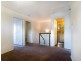 41 Oodgeroo Avenue, Franklin ACT 2913