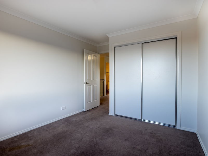 41 Oodgeroo Avenue, Franklin ACT 2913
