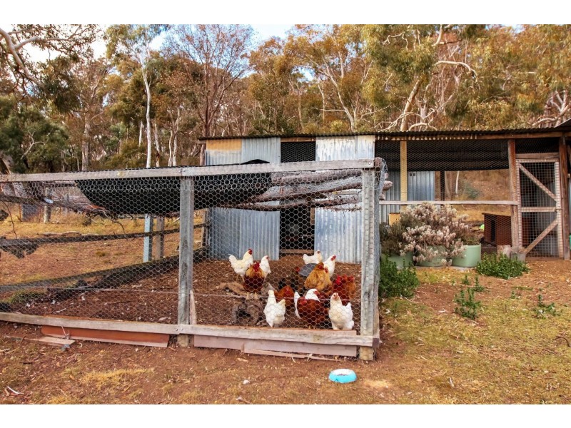 182 Sugarloaf Ridge Road, Primrose Valley NSW 2621