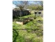 36 Cooma Street, Queanbeyan NSW 2620