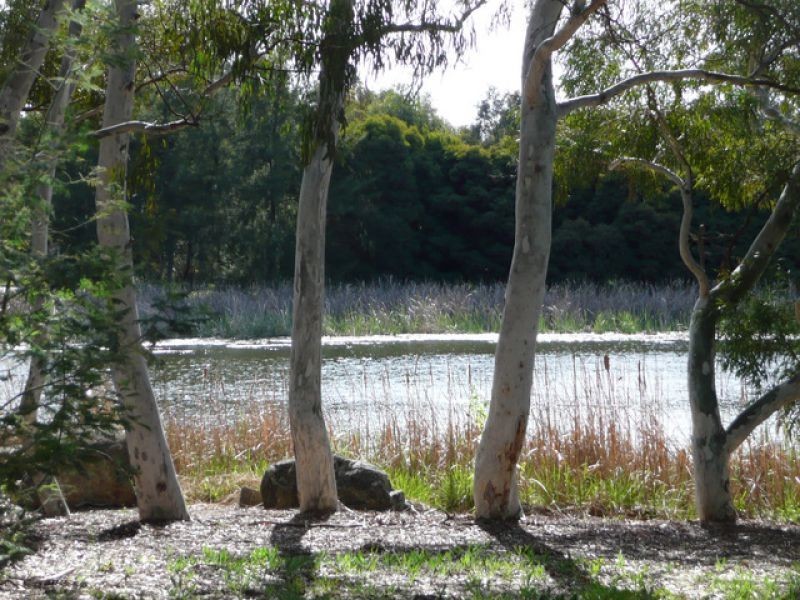 1/1 Eardley Street, Bruce ACT 2617