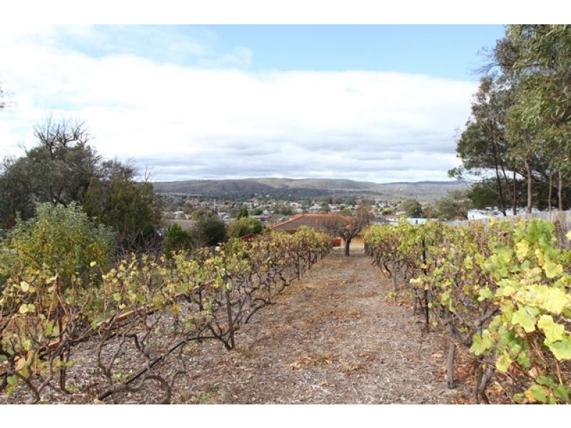 42 Brereton Street, Queanbeyan NSW 2620