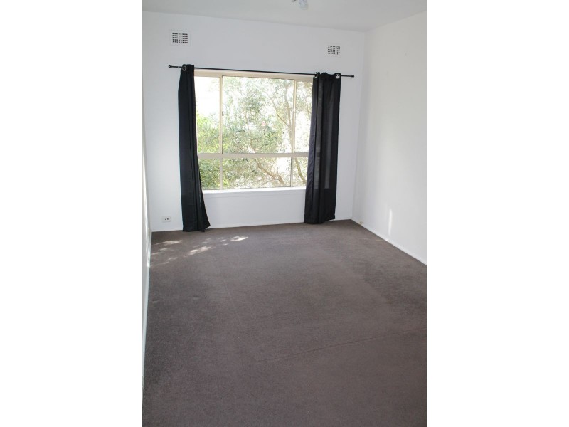 6a Francis Street, Bondi NSW 2026