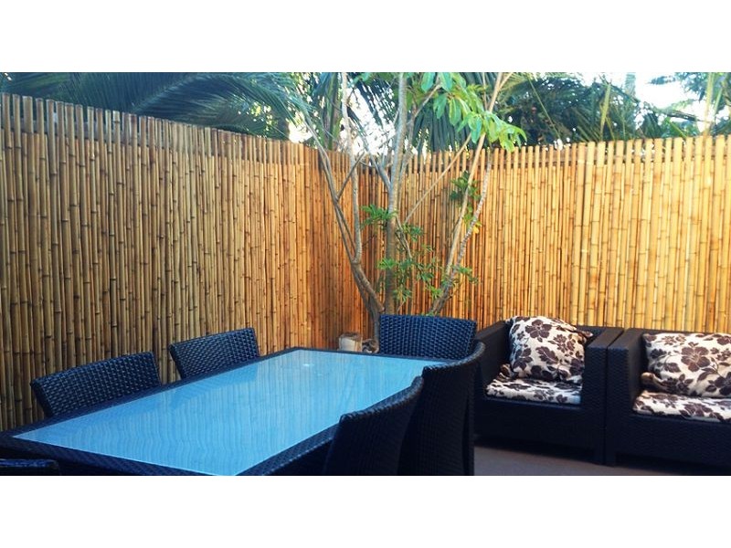 25/14 Kidman St, Coogee NSW 2034