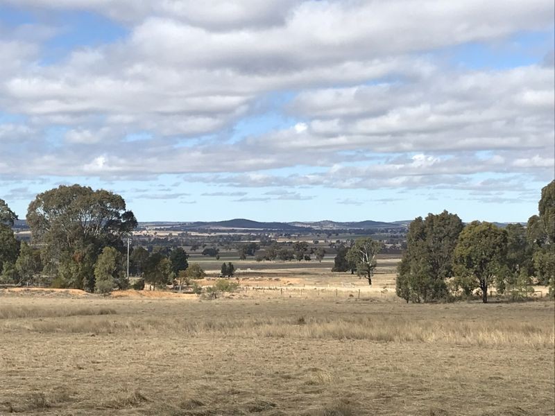 502 Patrick Road, Dunedoo NSW 2844