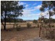 502 Patrick Road, Dunedoo NSW 2844