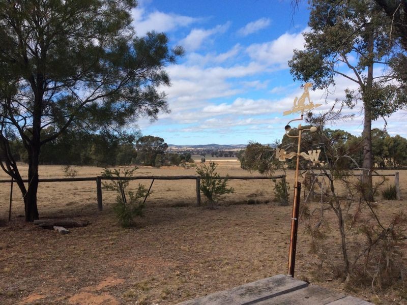 502 Patrick Road, Dunedoo NSW 2844