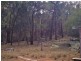 502 Patrick Road, Dunedoo NSW 2844