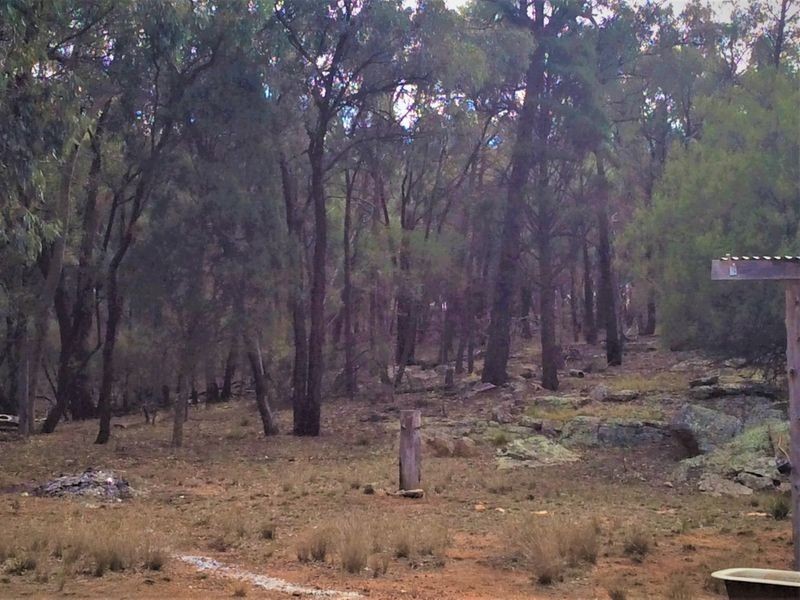 502 Patrick Road, Dunedoo NSW 2844