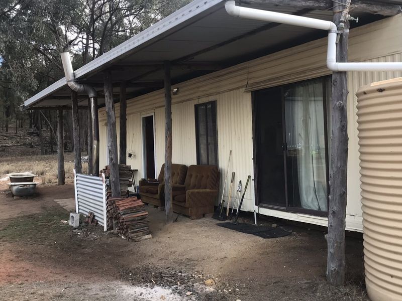 502 Patrick Road, Dunedoo NSW 2844
