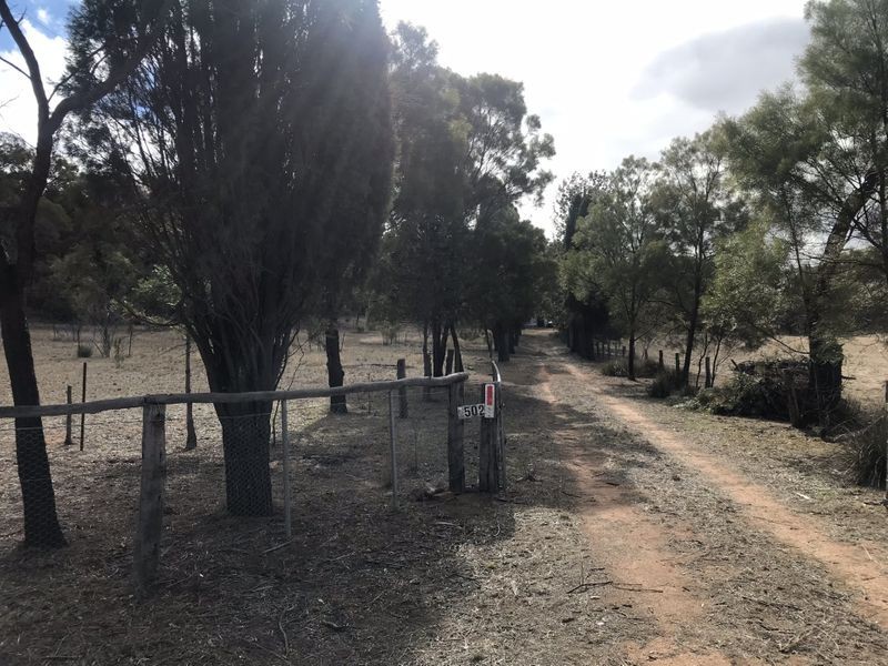 502 Patrick Road, Dunedoo NSW 2844
