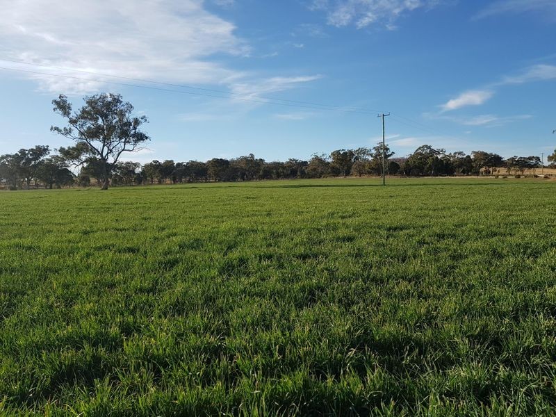 458 Sir Ivan Dougherty Drive, Dunedoo NSW 2844