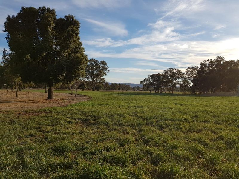 458 Sir Ivan Dougherty Drive, Dunedoo NSW 2844
