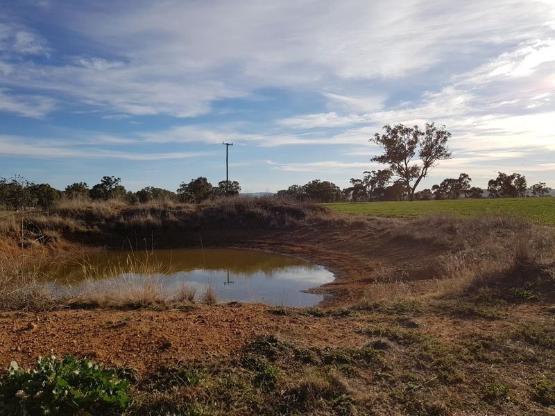 458 Sir Ivan Dougherty Drive, Dunedoo NSW 2844