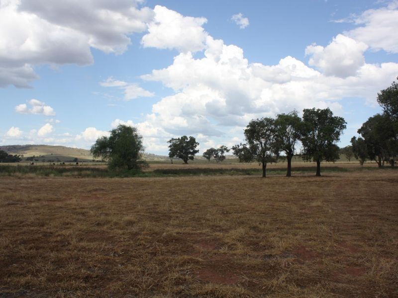 458 Sir Ivan Dougherty Drive, Dunedoo NSW 2844