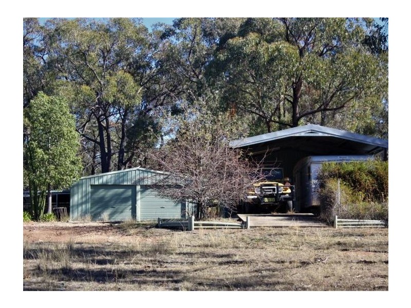 110 Wentworth Avenue, Coolah NSW 2843