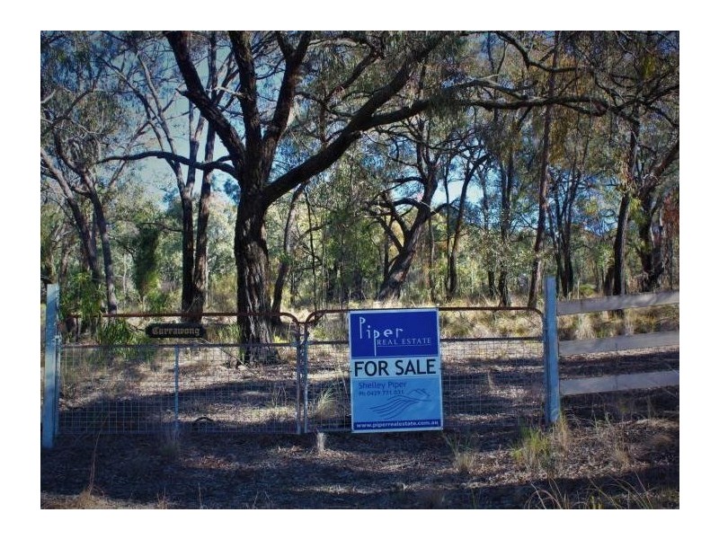 110 Wentworth Avenue, Coolah NSW 2843