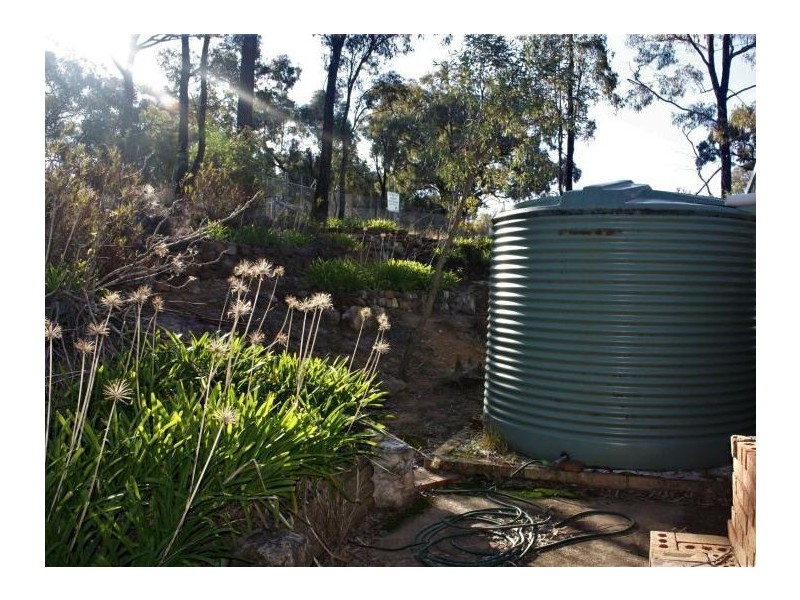 110 Wentworth Avenue, Coolah NSW 2843