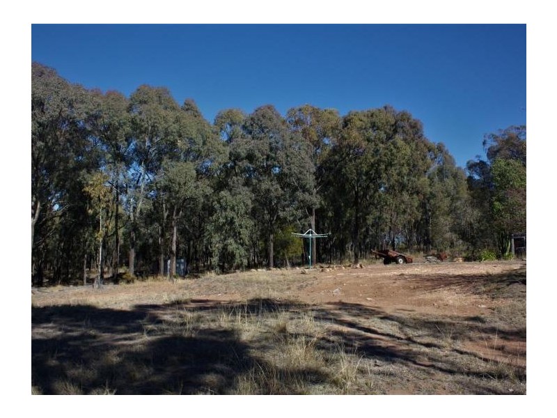 110 Wentworth Avenue, Coolah NSW 2843