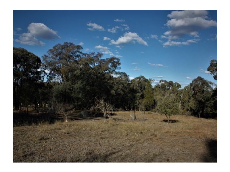 110 Wentworth Avenue, Coolah NSW 2843