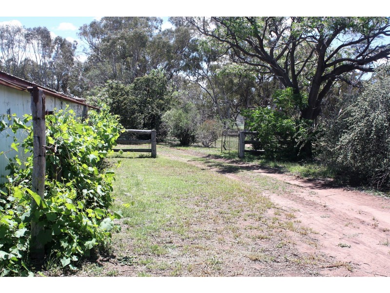 1009 Warrumbungles Way, Coolah NSW 2843