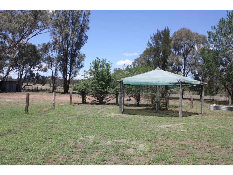 1009 Warrumbungles Way, Coolah NSW 2843