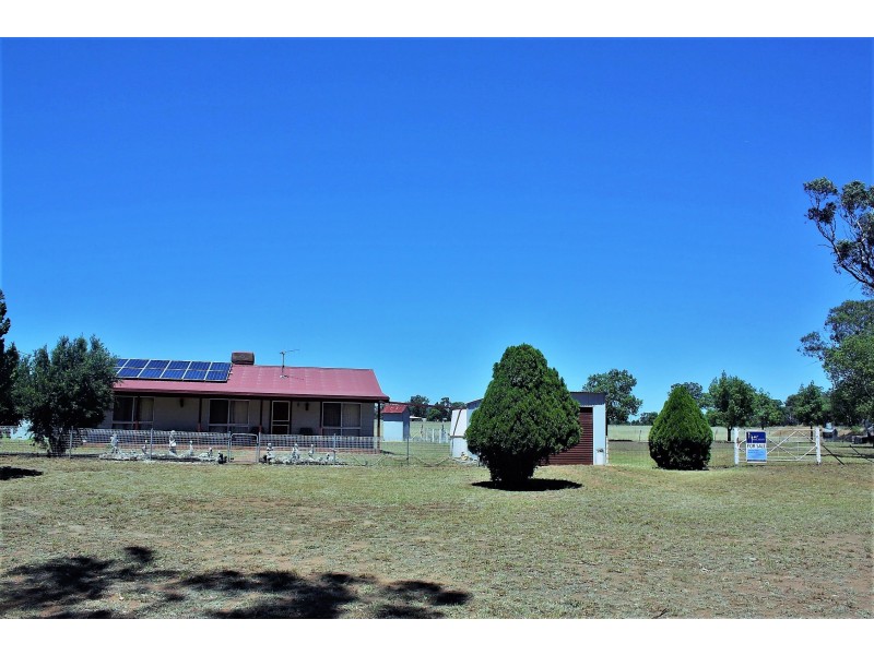 492 Sir Ivan Dougherty Drive, Dunedoo NSW 2844