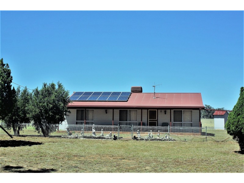 492 Sir Ivan Dougherty Drive, Dunedoo NSW 2844