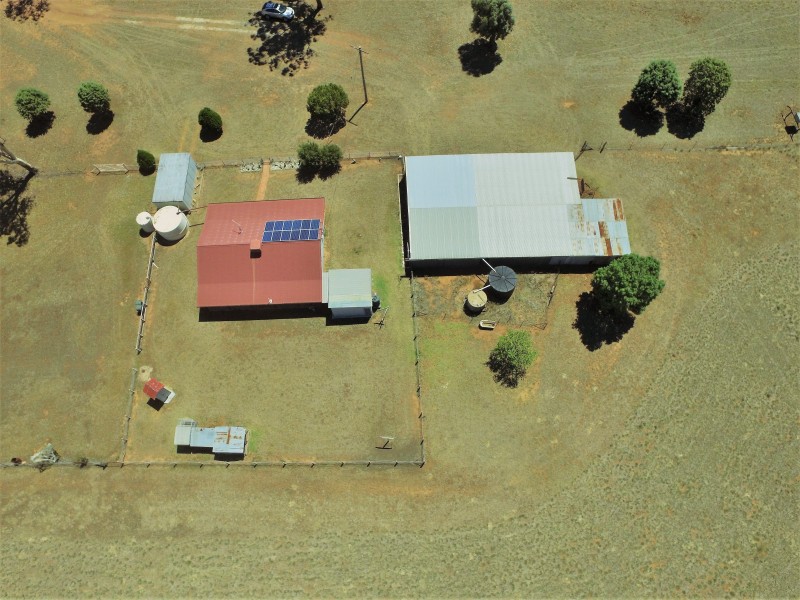 492 Sir Ivan Dougherty Drive, Dunedoo NSW 2844