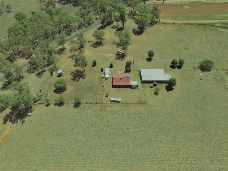492 Sir Ivan Dougherty Drive, Dunedoo NSW 2844