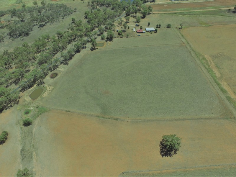 492 Sir Ivan Dougherty Drive, Dunedoo NSW 2844