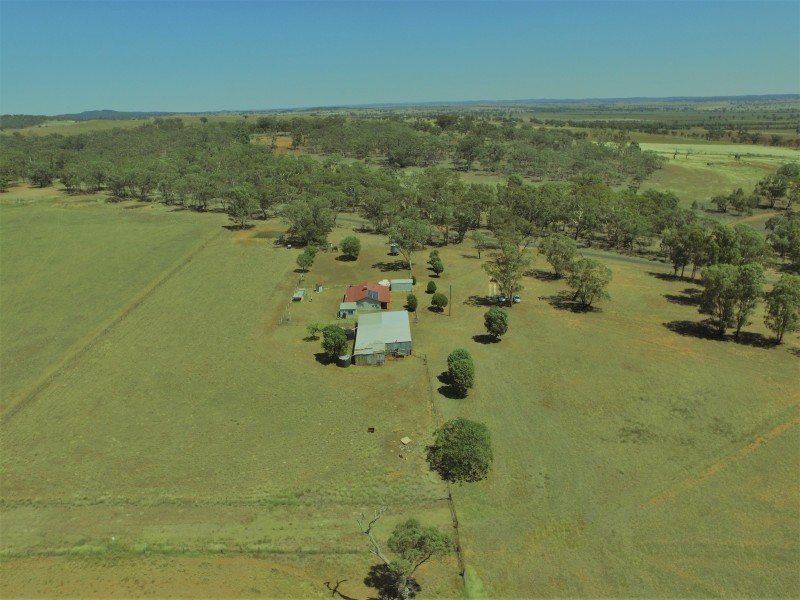 492 Sir Ivan Dougherty Drive, Dunedoo NSW 2844
